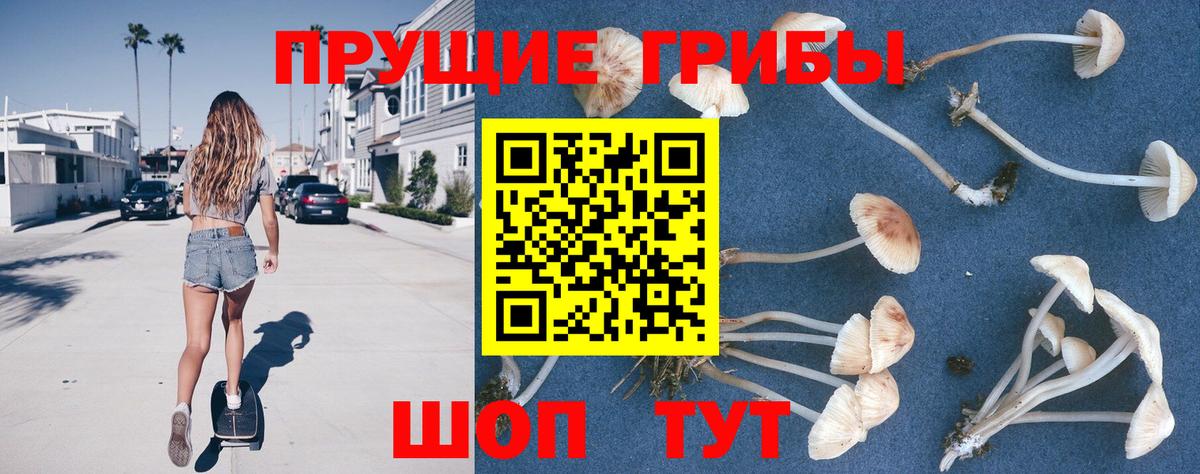 где купить наркоту  Вход с VPN  Ивантеевка  Галлюциногенные грибы MAGIC MUSHROOMS 